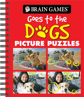 Agyjátékok - Képes rejtvények: A kutyákhoz megy - Brain Games - Picture Puzzles: Goes to the Dogs