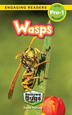 Darazsak: (Engaging Readers, Pre-1 szint) - Wasps: Backyard Bugs and Creepy-Crawlies (Engaging Readers, Level Pre-1)