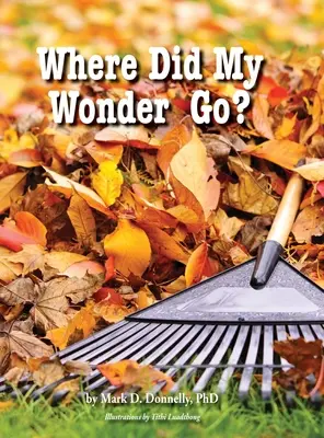 Hová tűnt a csodám? - Where Did My Wonder Go?