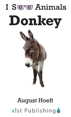 Szamár - Donkey