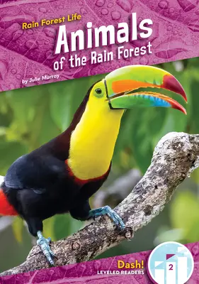 Az esőerdő állatai - Animals of the Rain Forest