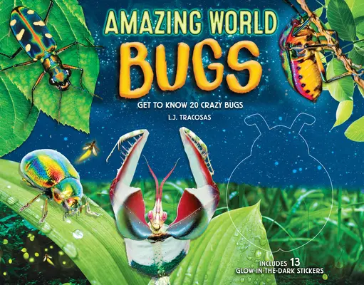 Csodálatos világ: Bugs: Ismerj meg 20 őrült bogarat - Amazing World: Bugs: Get to Know 20 Crazy Bugs