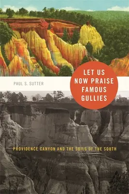 Dicsérjük most a híres gullyokat: Providence Canyon és a déli területek talajai - Let Us Now Praise Famous Gullies: Providence Canyon and the Soils of the South