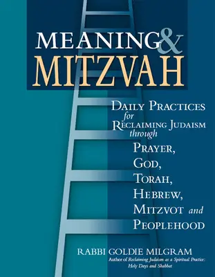 Jelentés és micva: Napi gyakorlatok a zsidóság visszaszerzéséhez az ima, Isten, Tóra, héber, micvák és a népesség segítségével. - Meaning & Mitzvah: Daily Practices for Reclaiming Judaism Through Prayer, God, Torah, Hebrew, Mitzvot and Peoplehood