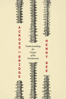 Át a hídon: A gerincesek eredetének megértése - Across the Bridge: Understanding the Origin of the Vertebrates