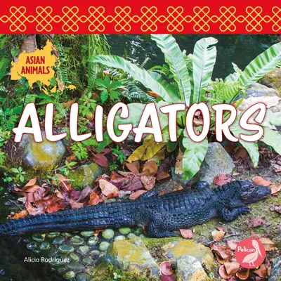 Alligátorok - Alligators