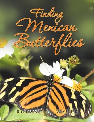 Mexikói pillangók keresése - Finding Mexican Butterflies