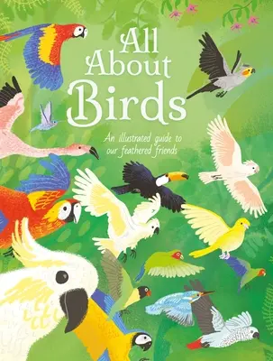 Mindent a madarakról: An Illustrated Guide to Our Feathered Friends (Illusztrált útmutató tollas barátainkról) - All about Birds: An Illustrated Guide to Our Feathered Friends