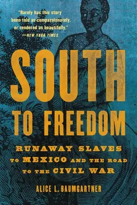 Délről a szabadságba: Szökött rabszolgák Mexikóba és az út a polgárháborúba - South to Freedom: Runaway Slaves to Mexico and the Road to the Civil War