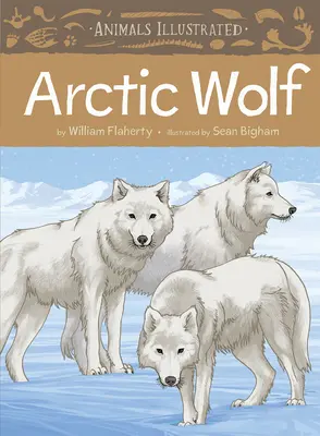 Állatok illusztrálva: Sarki Farkas - Animals Illustrated: Arctic Wolf