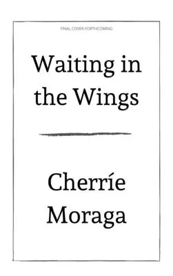 Várakozás a szárnyak alatt: Egy queer anyaság portréja - Waiting in the Wings: Portrait of a Queer Motherhood