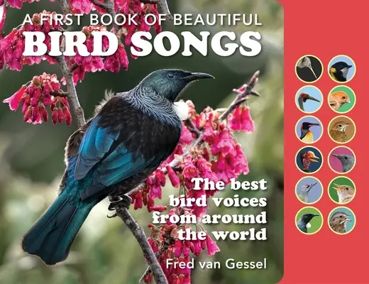 Gyönyörű madárdalok könyve: A legjobb madárhangok a világ minden tájáról - A Book of Beautiful Bird Songs: The Best Bird Voices from Around the World