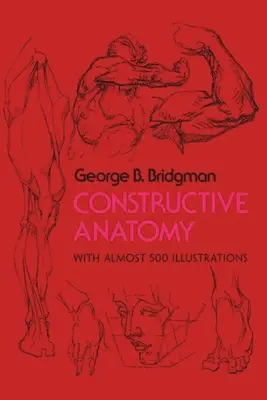 Konstruktív anatómia - Constructive Anatomy