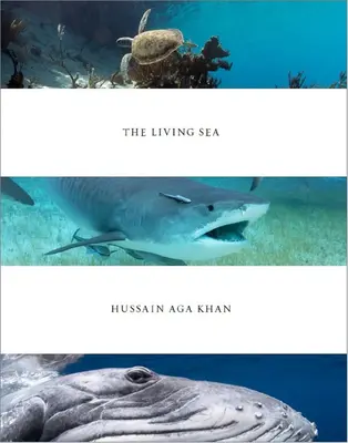 Hussain Aga Khan: Az élő tenger - Hussain Aga Khan: The Living Sea