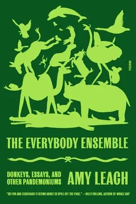 The Everybody Ensemble: Szamarak, esszék és más pandemóniák - The Everybody Ensemble: Donkeys, Essays, and Other Pandemoniums