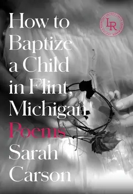 Hogyan kereszteljünk meg egy gyermeket a michigani Flintben: Versek - How to Baptize a Child in Flint, Michigan: Poems