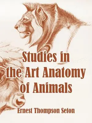 Tanulmányok az állatok művészeti anatómiájáról - Studies in the Art Anatomy of Animals