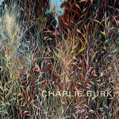 Charlie Burk: Utazás az absztrakcióban - Charlie Burk: Journey in Abstraction