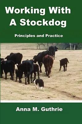 Munka egy állatkutyával - Working with a Stockdog