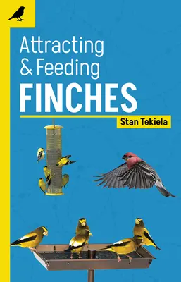 Pintyek vonzása és etetése - Attracting & Feeding Finches