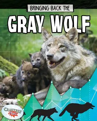 A szürke farkas visszahozása - Bringing Back the Gray Wolf