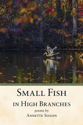 Kis halak a magas ágakon - Small Fish in High Branches