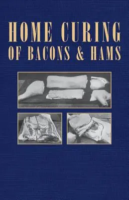 Szalonna és sonka házi pácolása - Home Curing of Bacon and Hams