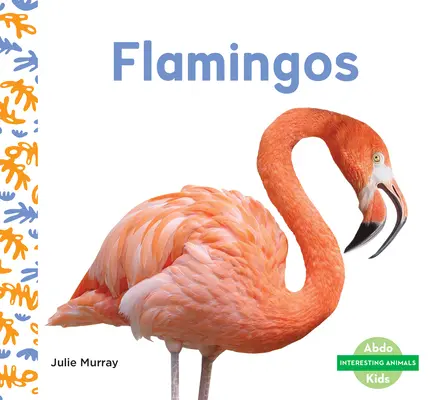 Flamingók - Flamingos