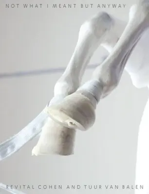 Nem úgy értettem, de mindegy - Not What I Meant But Anyway