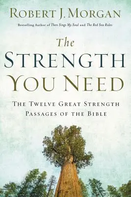 Az erő, amire szükséged van: A Biblia tizenkét nagy erejű szakasza - The Strength You Need: The Twelve Great Strength Passages of the Bible