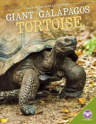 Óriás galpagosi teknős - Giant Galpagos Tortoise