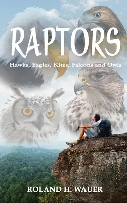 Raptorok: Sólymok, sasok, sárkányok, sólymok és baglyok - Raptors: Hawks, Eagles, Kites, Falcons and Owls