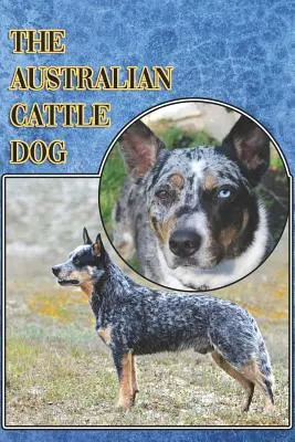 Az ausztrál szarvasmarha kutya: A Complete and Comprehensive Beginners Guide To: Vásárlás, birtoklás, egészség, ápolás, képzés, engedelmesség, megértés. - The Australian Cattle Dog: A Complete and Comprehensive Beginners Guide To: Buying, Owning, Health, Grooming, Training, Obedience, Understanding