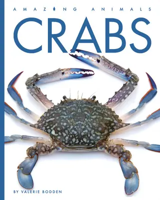 Rákok - Crabs