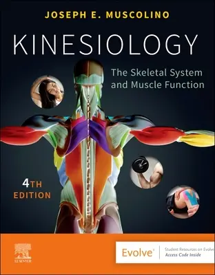 Kineziológia: A vázrendszer és az izmok működése - Kinesiology: The Skeletal System and Muscle Function