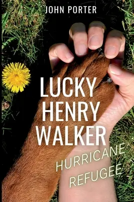 Lucky Henry Walker: hurrikánmenekült - Lucky Henry Walker: Hurricane Refugee