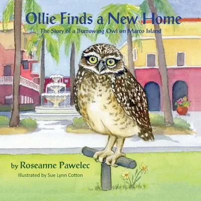 Ollie új otthonra talál: Egy fülesbagoly története Marco Islanden - Ollie Finds a New Home, The Story of a Burrowing Owl on Marco Island