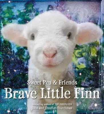 Bátor kis Finn - Brave Little Finn