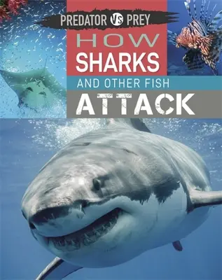 Predator Vs Prey: Hogyan támadnak a cápák és más halak! - Predator Vs Prey: How Sharks and Other Fish Attack!