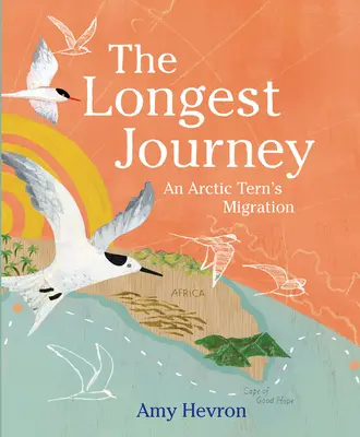 The Longest Journey: Egy sarkvidéki csér vándorlása - The Longest Journey: An Arctic Tern's Migration