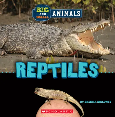 Hüllők (Vadvilág: Nagy és kis állatok) - Reptiles (Wild World: Big and Small Animals)