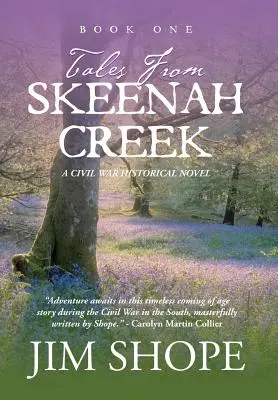 Tales From Skeenah Creek: A Civil War Historical Fiction Novel