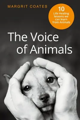 Az állatok hangja: 10 életgyógyító lecke, amit az állatoktól tanulhatunk - The Voice of Animals: 10 Life-Healing Lessons we can Learn from Animals