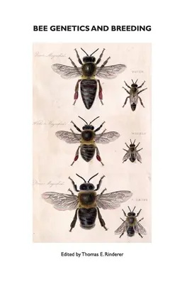 Méhgenetika és méhtenyésztés - Bee Genetics and Breeding