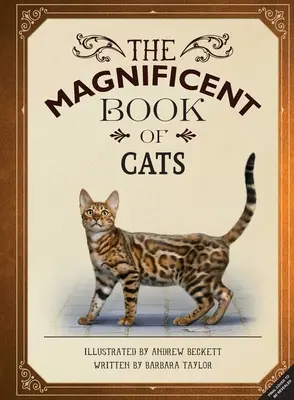 A macskák csodálatos könyve: (Könyvek gyerekeknek a macskákról, Középiskolás macskás könyvek, Könyvek állatokról) - The Magnificent Book of Cats: (Kids Books about Cats, Middle Grade Cat Books, Books about Animals)