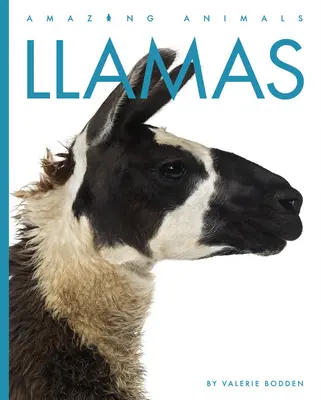 Lámák - Llamas