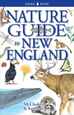 Új-Anglia természeti kalauz - Nature Guide to New England