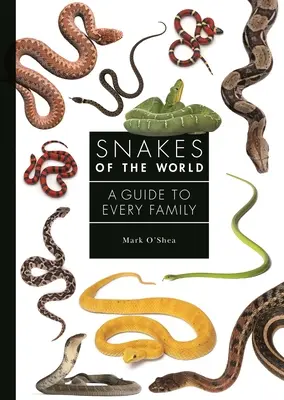 A világ kígyói: Útmutató minden család számára - Snakes of the World: A Guide to Every Family