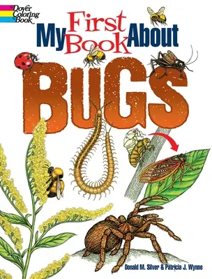 Az első könyvem a bogarakról - My First Book about Bugs