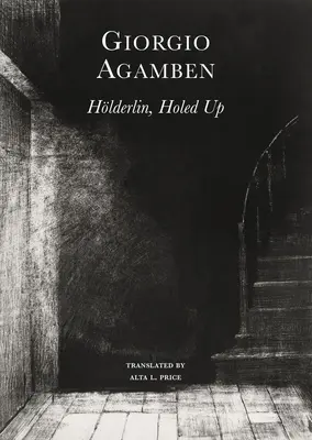 Hlderlin őrülete: Egy lakóhelyi élet krónikája, 1806-1843 - Hlderlin's Madness: Chronicle of a Dwelling Life, 1806-1843